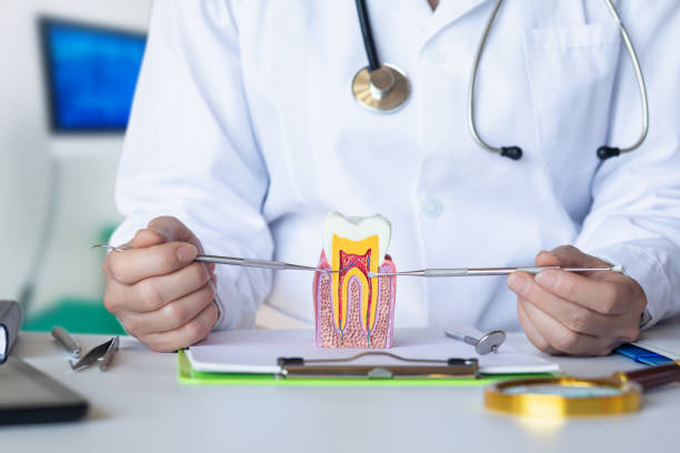 Best Emergency Dental Care for Broken or Chipped Teeth in Griggsvle, IL